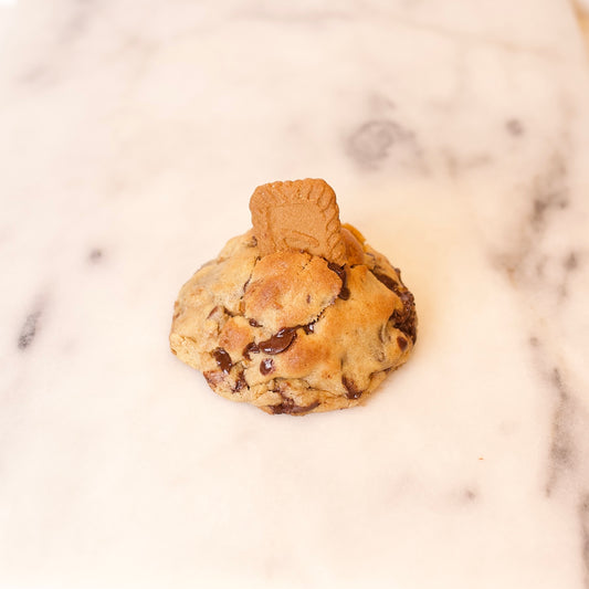 NEW YORK DUBAI BISCOFF